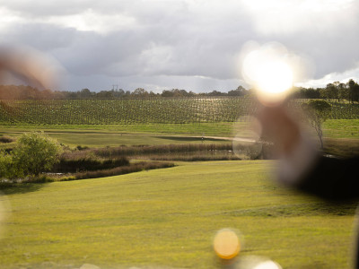 squires-vineyard-wine